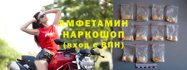 гидропоника Каменка
