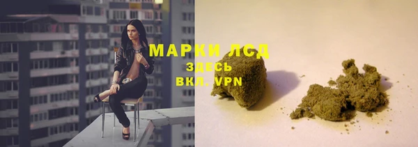гидропоника Каменка