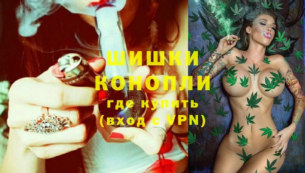 ECSTASY Каменногорск