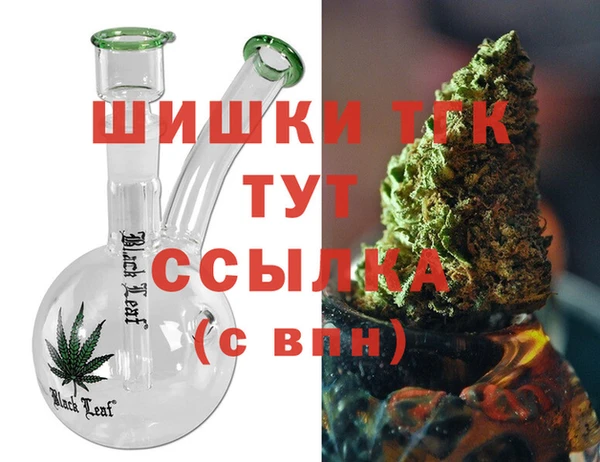 гидропоника Каменка