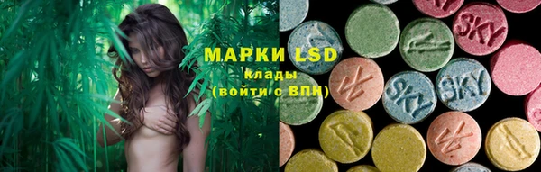 гидропоника Каменка